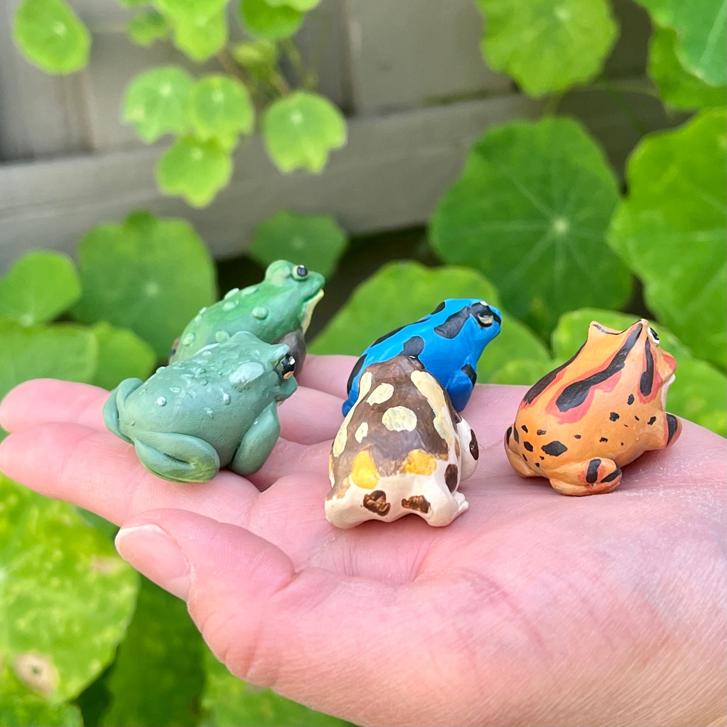 Handmade mini frog friend figurine series 3.0