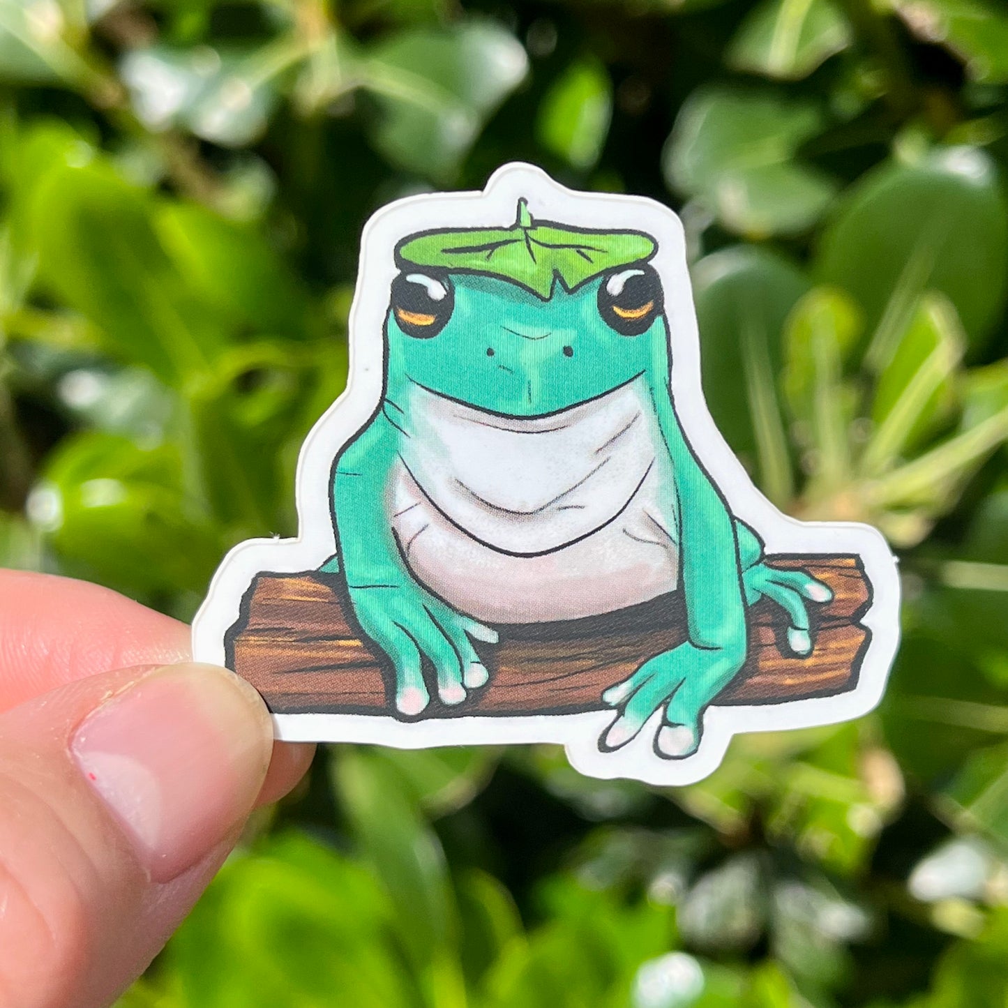 Tree frog with leaf hat sticker