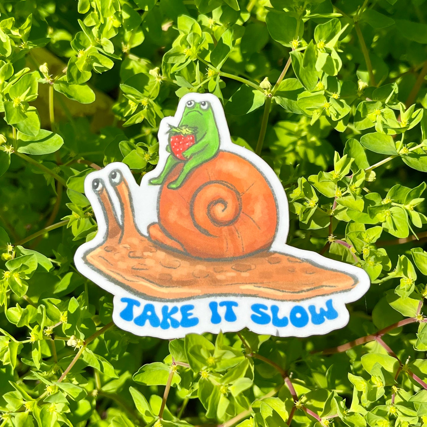 "Take it slow" frog riding snail sticker