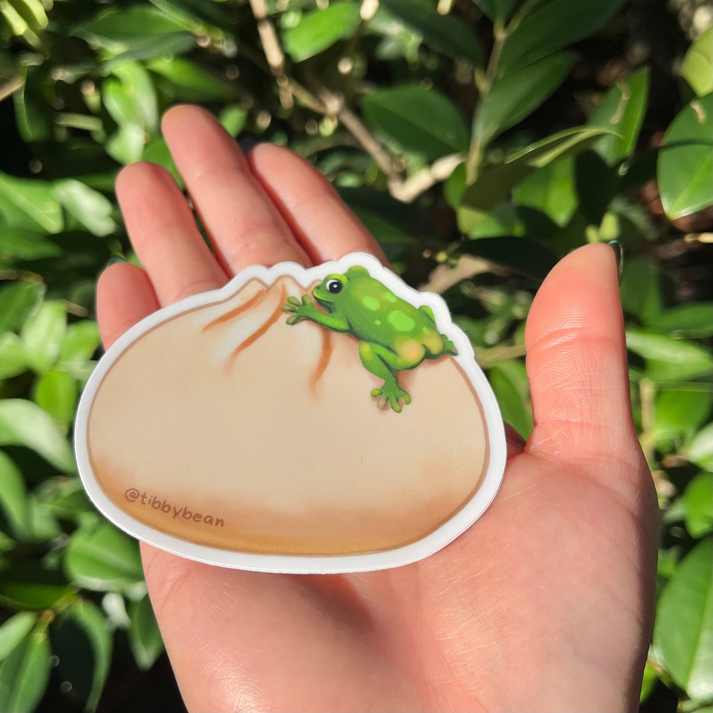 Green frog on bao bun vinyl sticker