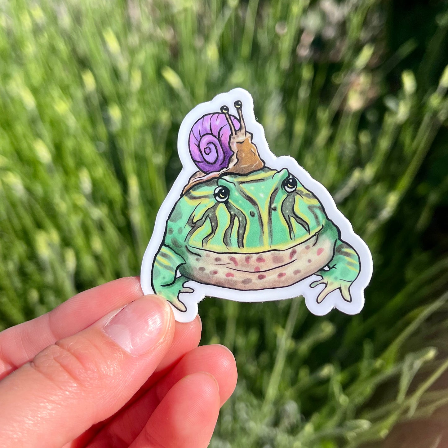 Vinyl pacman frog and snail friend sticker