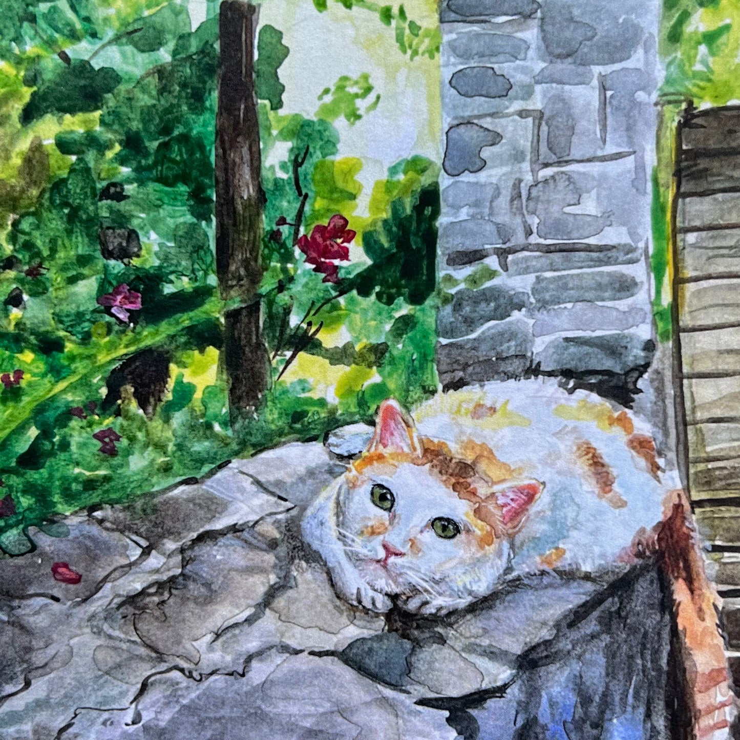 Cat on the wall art print