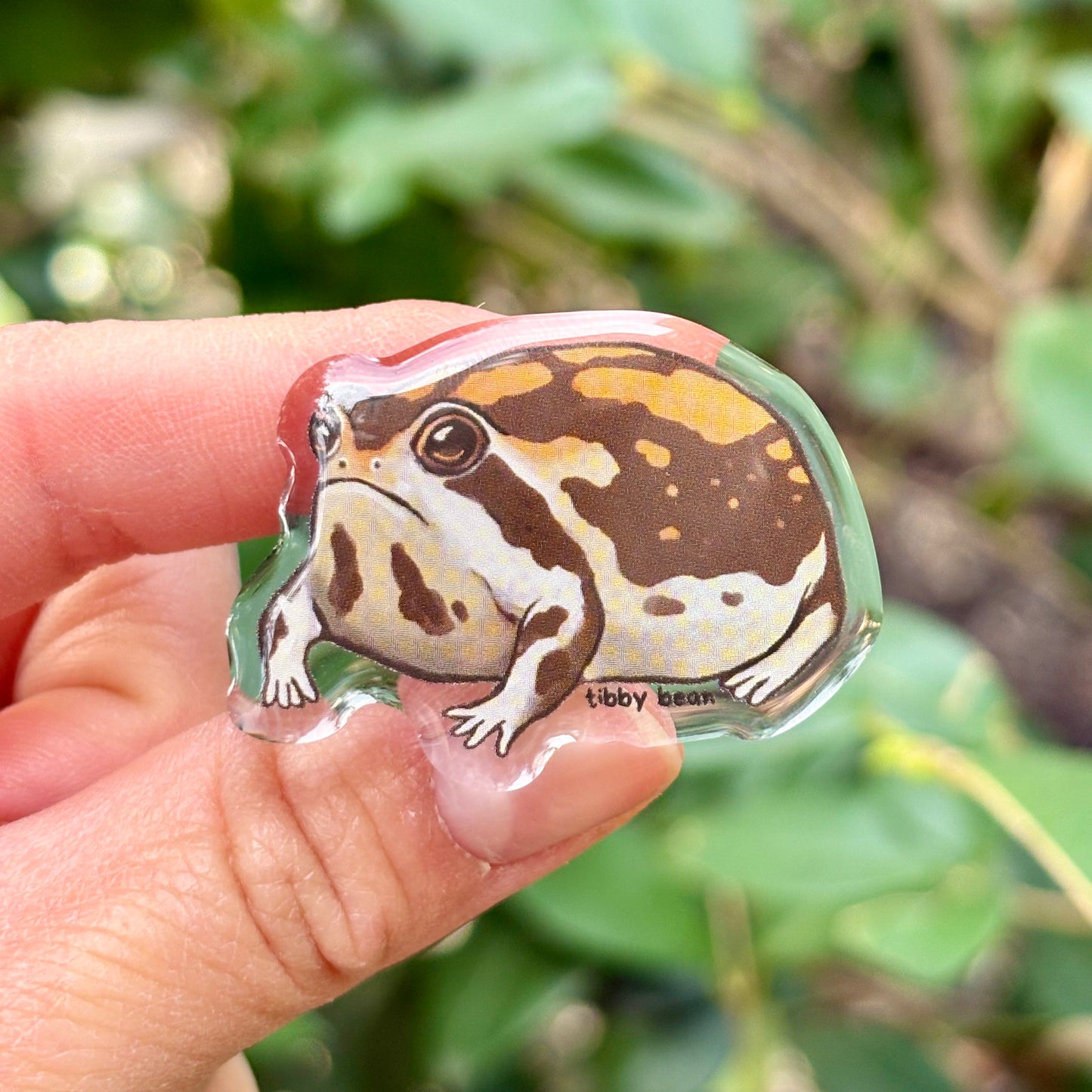 Desert rain frog acrylic pin