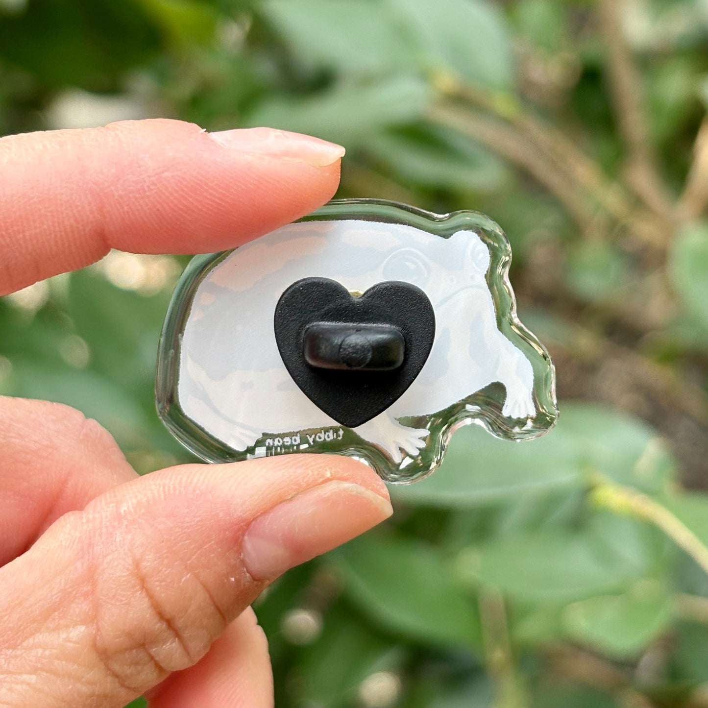 Desert rain frog acrylic pin