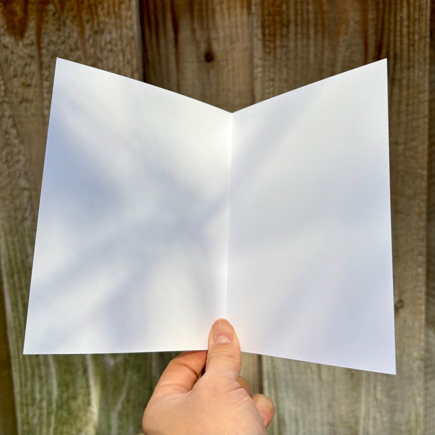 Thank you for being a friend greeting card