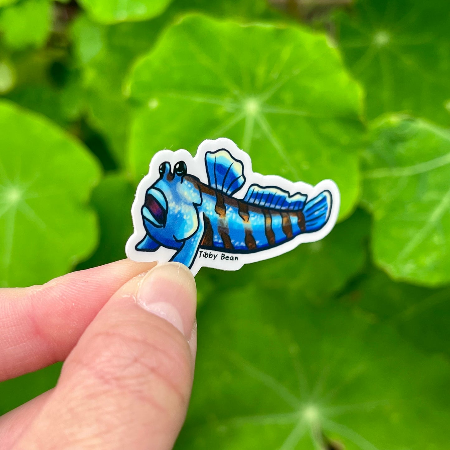 Vinyl blue mudskipper sticker