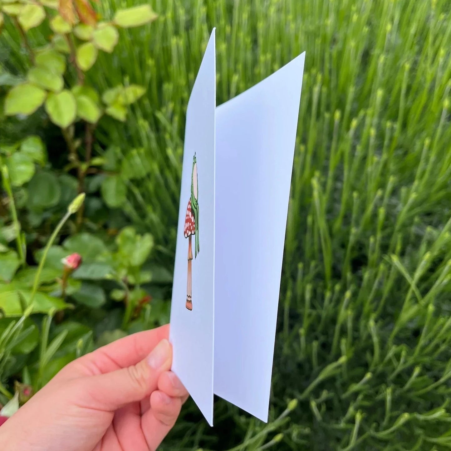 Sitting toad on mushroom greeting card