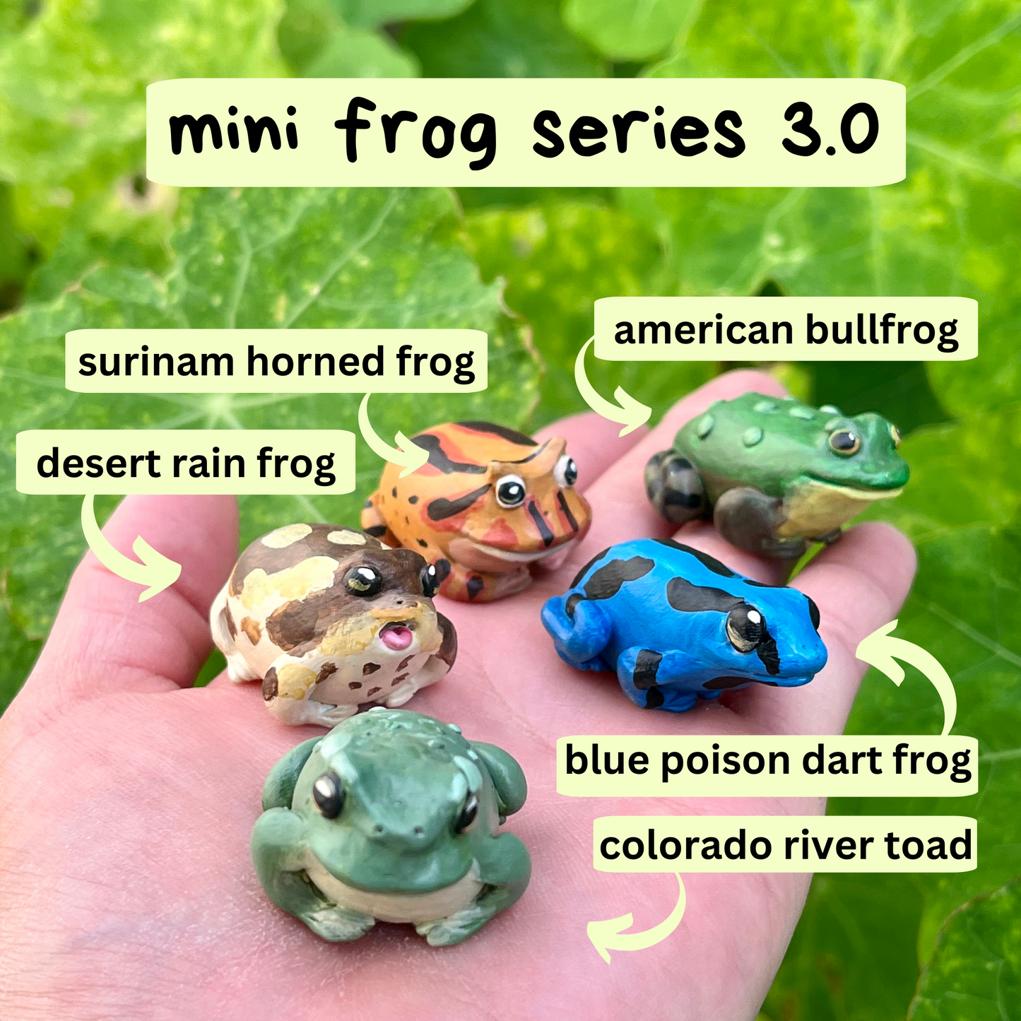 Handmade mini frog friend figurine series 3.0