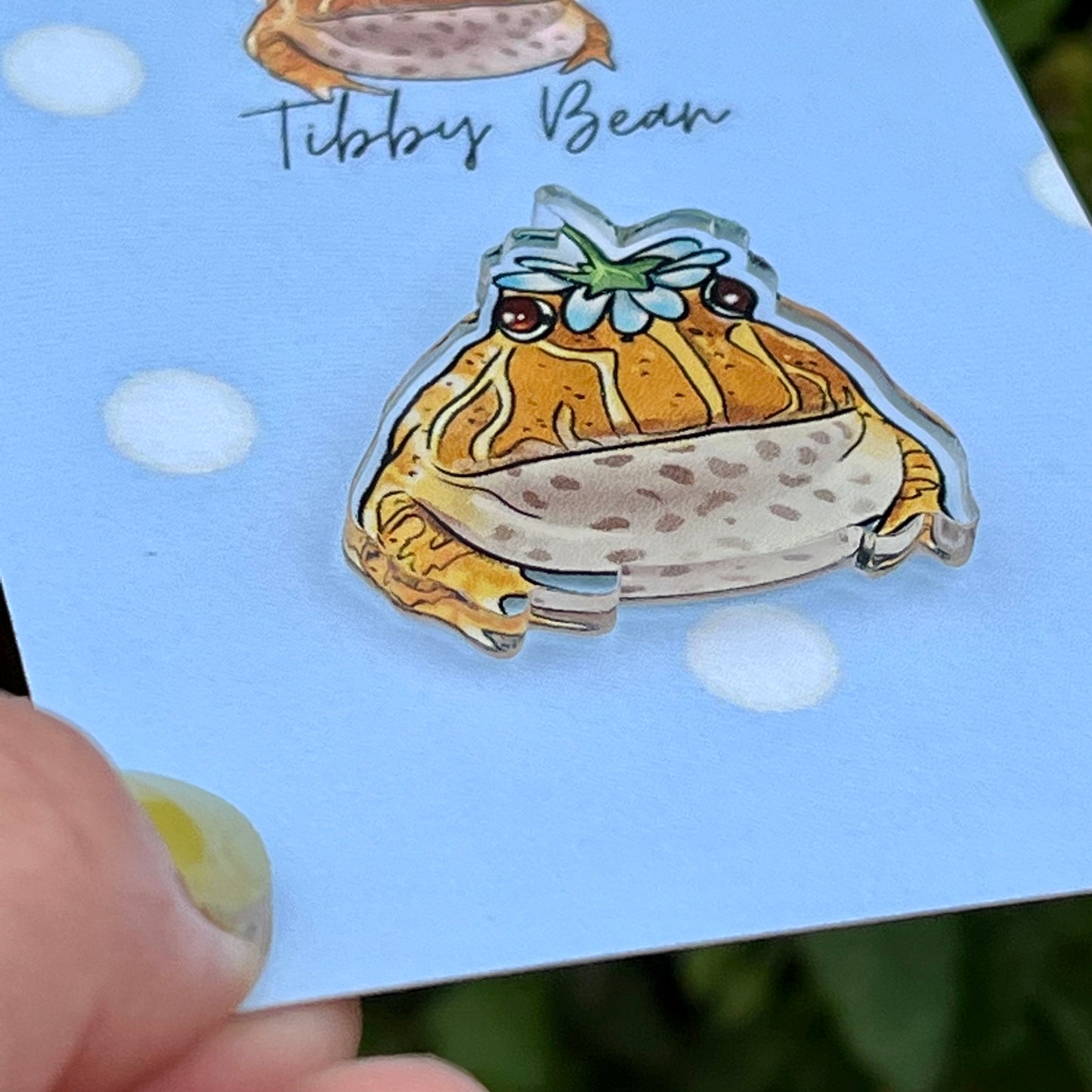 Albino Yellow & Orange "Tibby" the Pacman Frog Acrylic Pin