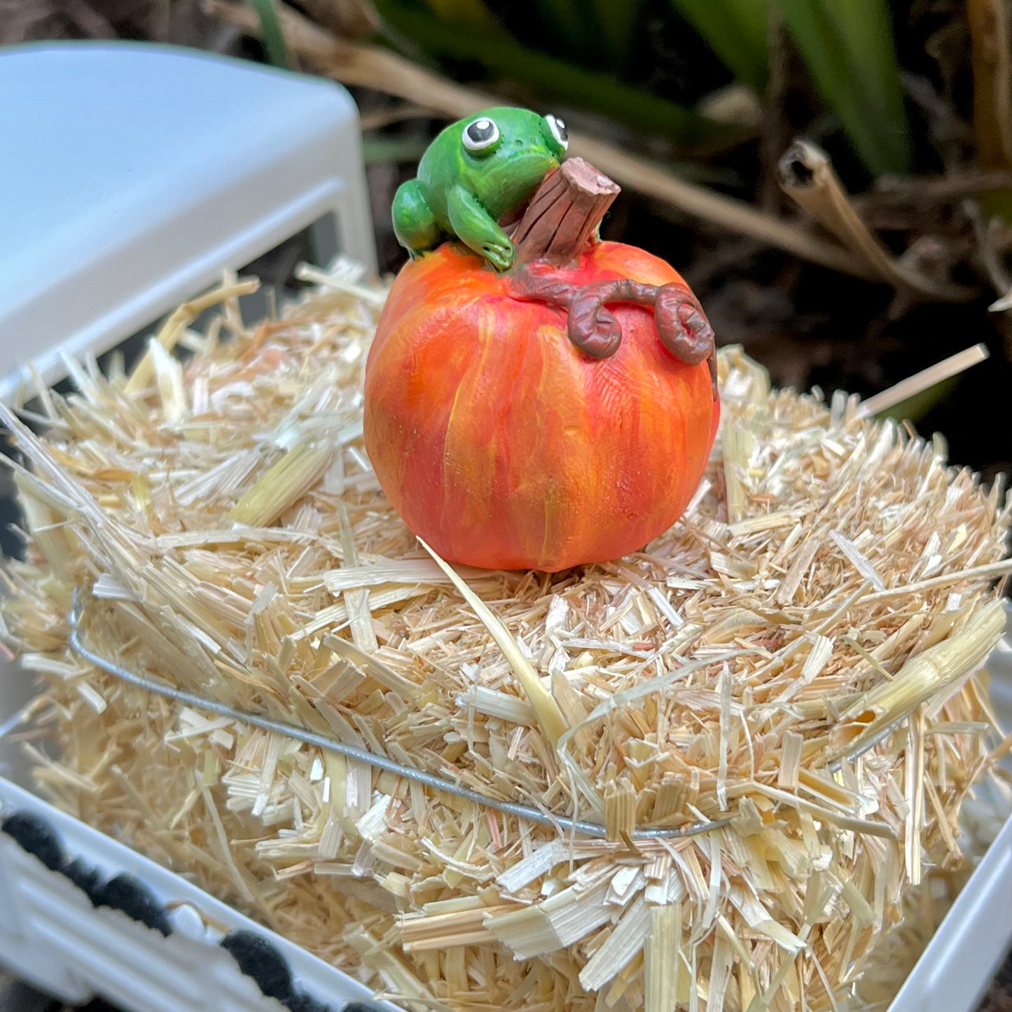 Handmade fall frogs on squash figurines