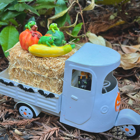 Handmade fall frogs on squash figurines