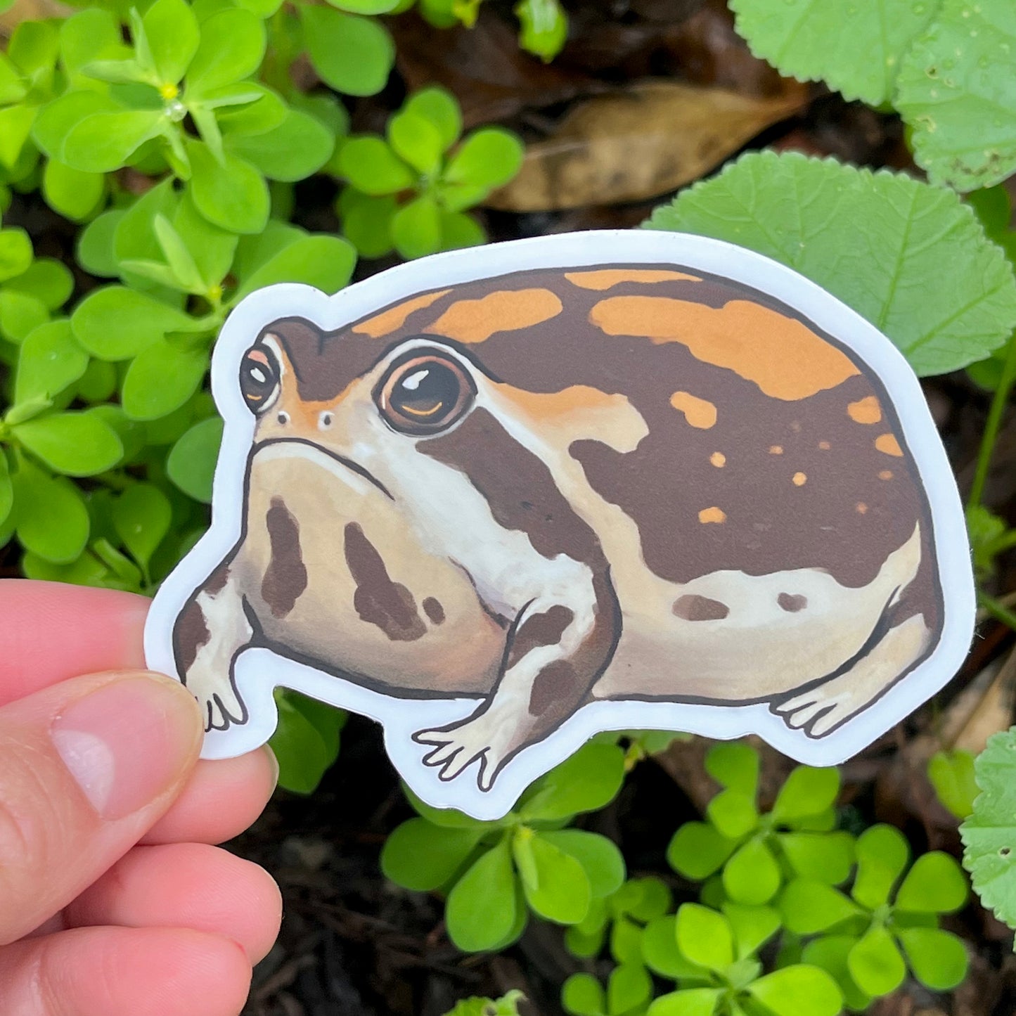 Froggy friend four vinyl sticker pack