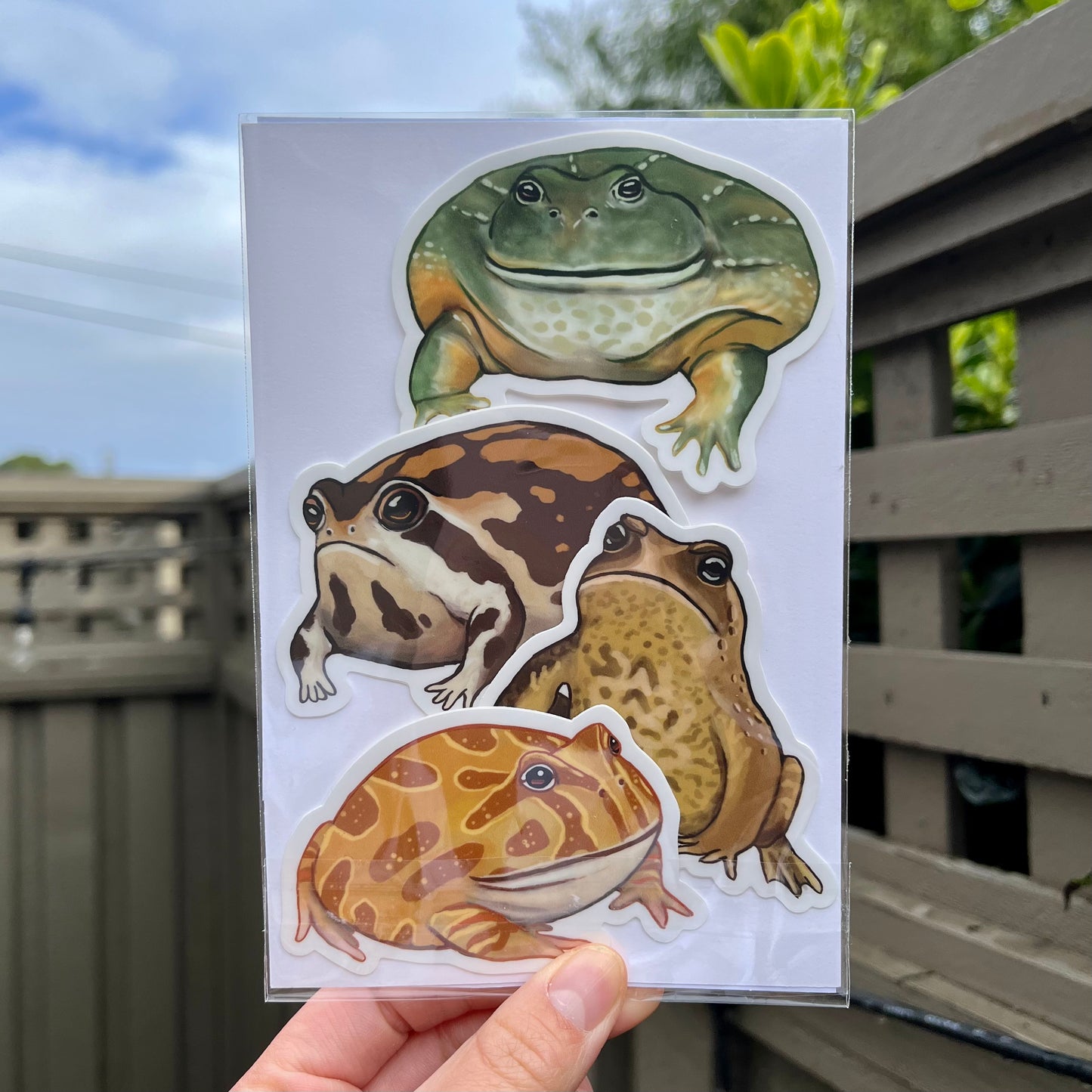 Froggy friend four vinyl sticker pack