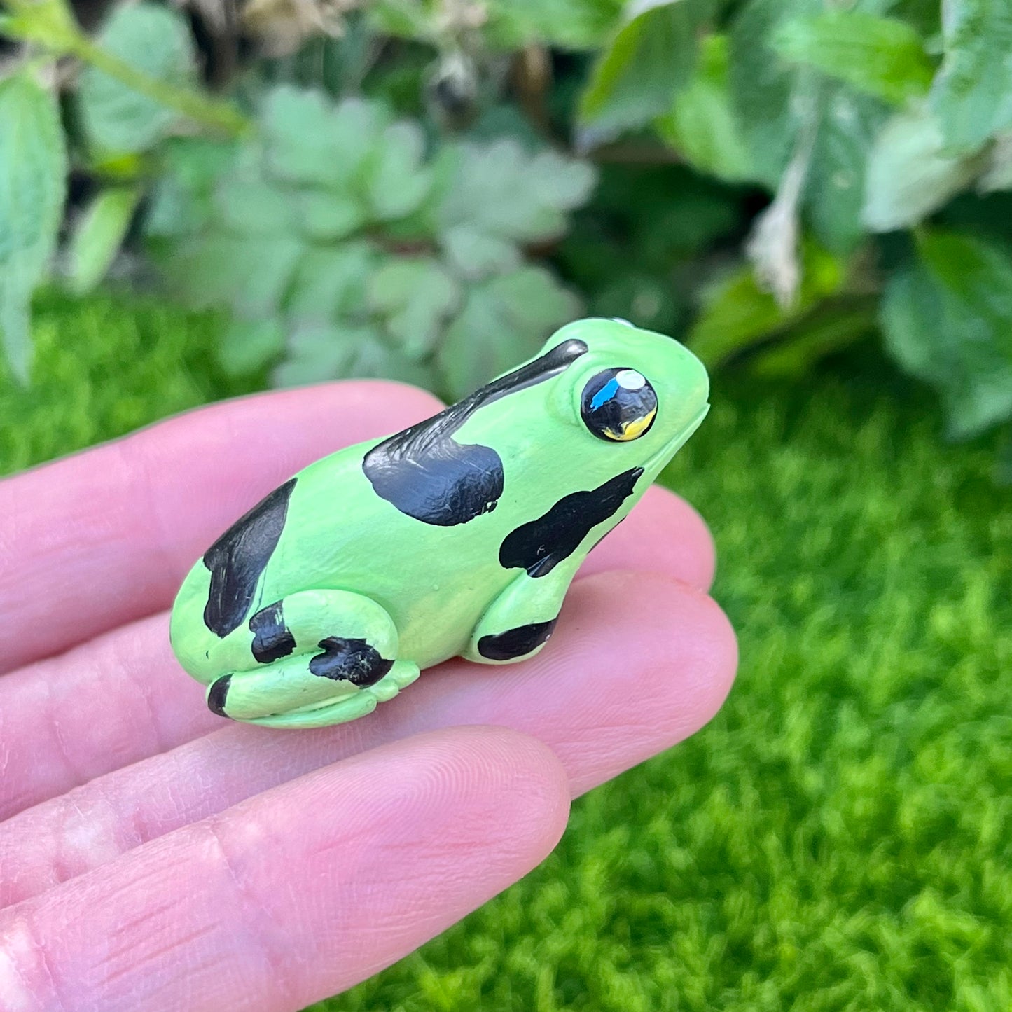 Handmade mini poison dart frog figurines