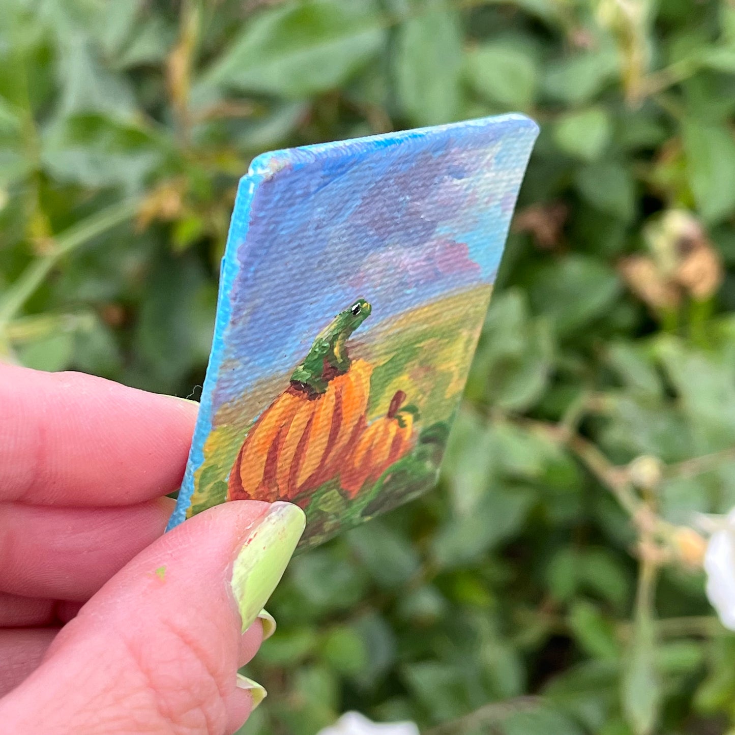 Cute Green Toad on Pumpkins Original Painting Magnet