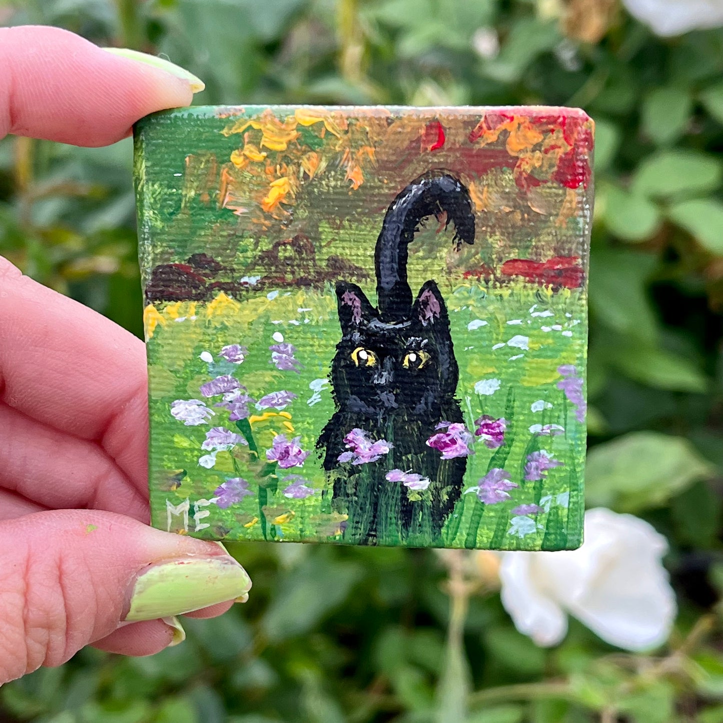 Black cat in field Original Painting Magnet