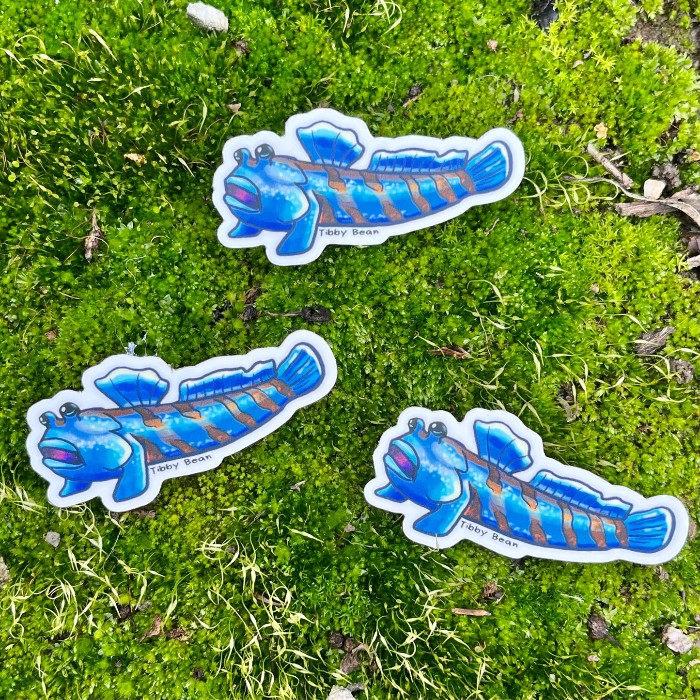 Vinyl Blue Mudskipper Sticker