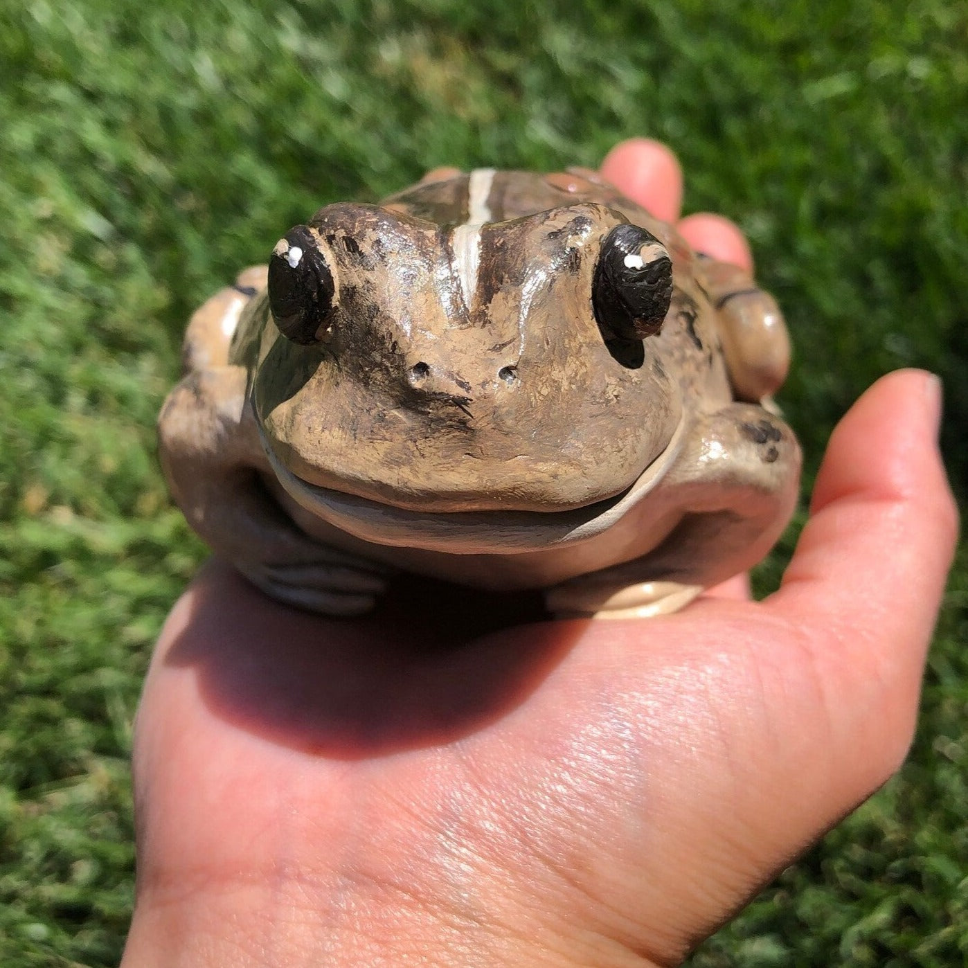 Handmade polymer clay "gratitoad" toad figurine