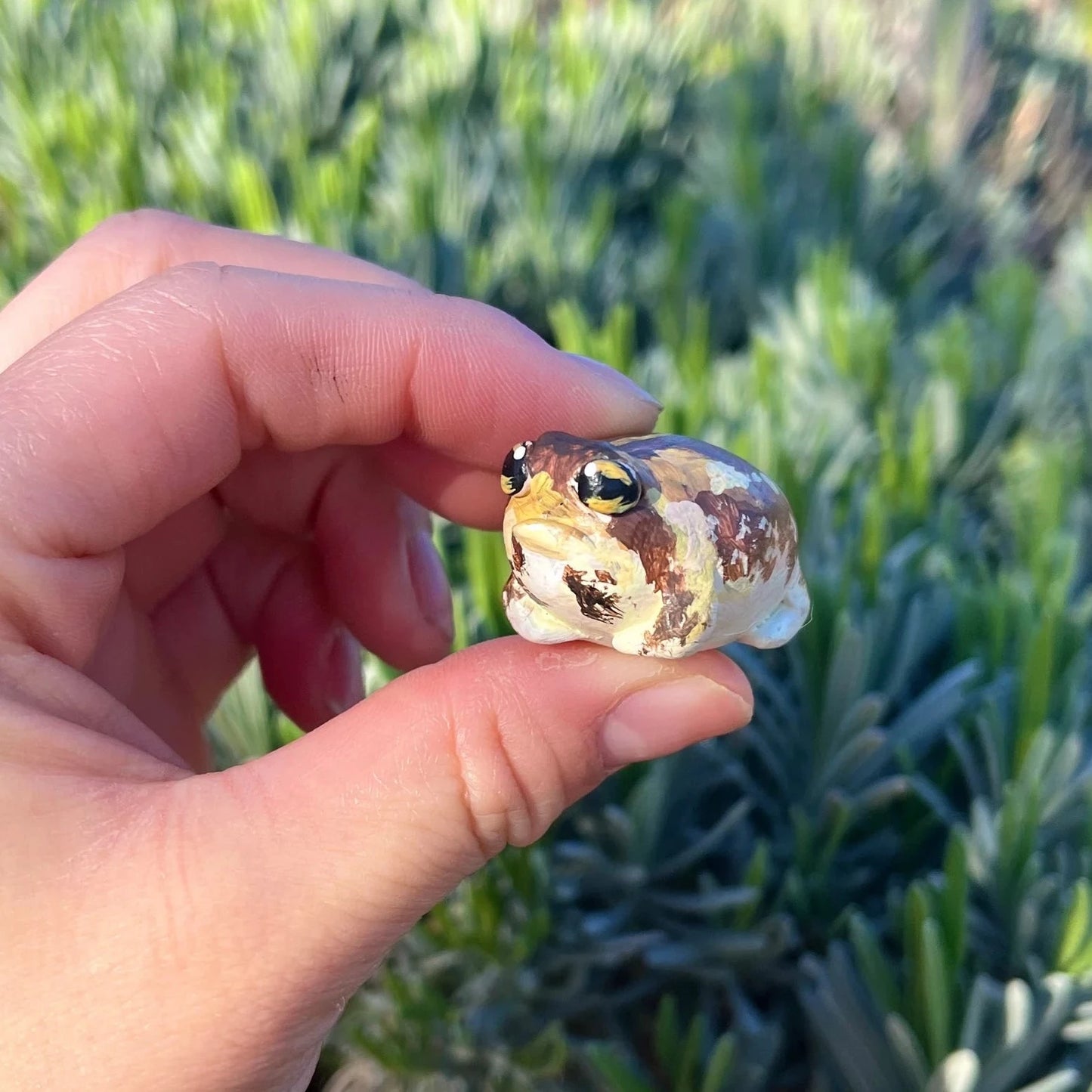 Handmade polymer clay desert rain frog figurine