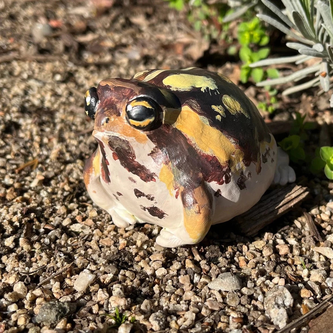 Handmade Polymer Clay Angry Desert Rain Frog Figurine